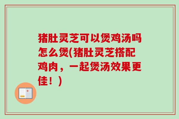 猪肚灵芝可以煲鸡汤吗怎么煲(猪肚灵芝搭配鸡肉，一起煲汤效果更佳！)
