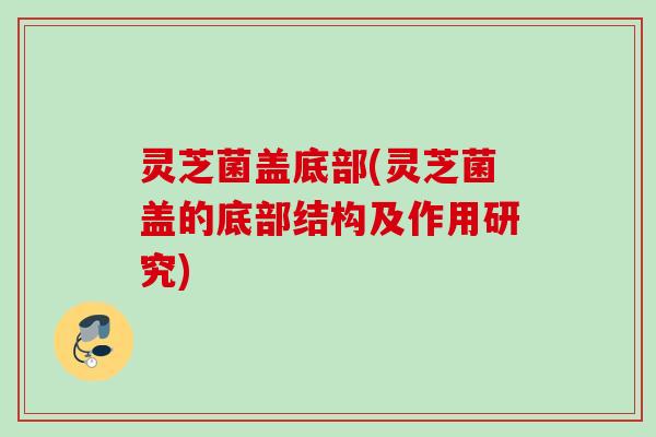 灵芝菌盖底部(灵芝菌盖的底部结构及作用研究)