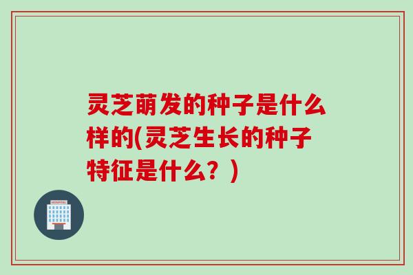 灵芝萌发的种子是什么样的(灵芝生长的种子特征是什么？)