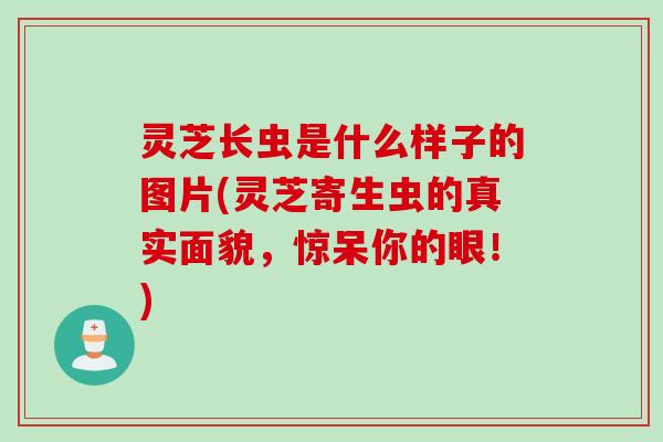灵芝长虫是什么样子的图片(灵芝寄生虫的真实面貌，惊呆你的眼！)