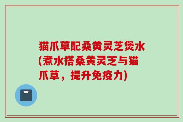 猫爪草配桑黄灵芝煲水(煮水搭桑黄灵芝与猫爪草，提升免疫力)
