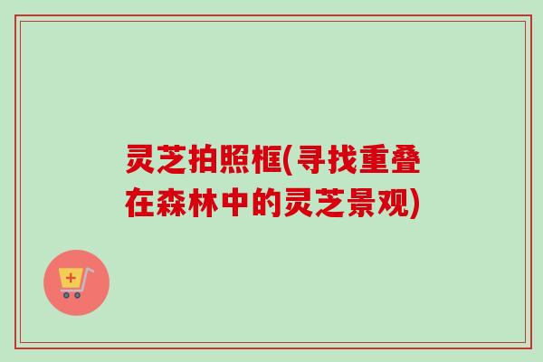 灵芝拍照框(寻找重叠在森林中的灵芝景观)