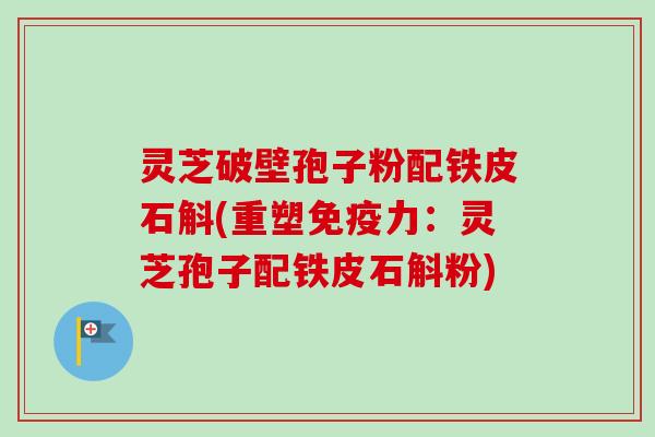 灵芝破壁孢子粉配铁皮石斛(重塑免疫力:灵芝孢子配铁皮石斛粉) 灵芝破壁孢子粉配铁皮石斛(重塑免疫力:灵芝孢子配铁皮石斛粉)
