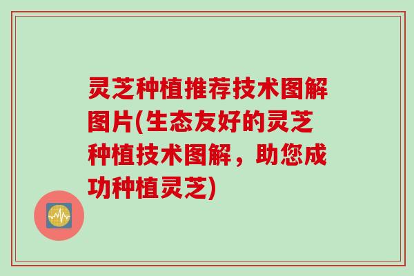 灵芝种植推荐技术图解图片(生态友好的灵芝种植技术图解，助您成功种植灵芝)