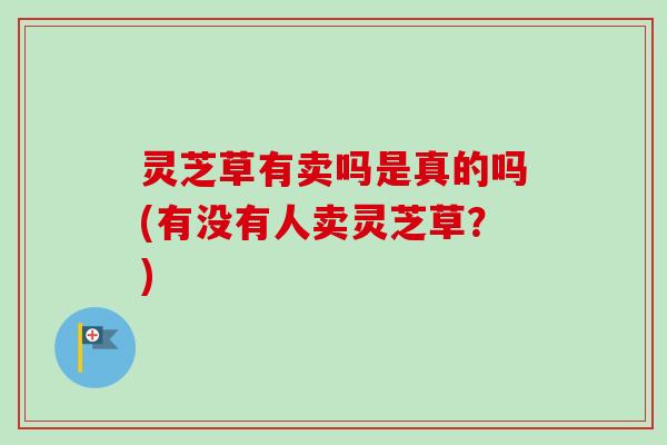 灵芝草有卖吗是真的吗(有没有人卖灵芝草？)