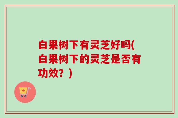 白果树下有灵芝好吗(白果树下的灵芝是否有功效？)