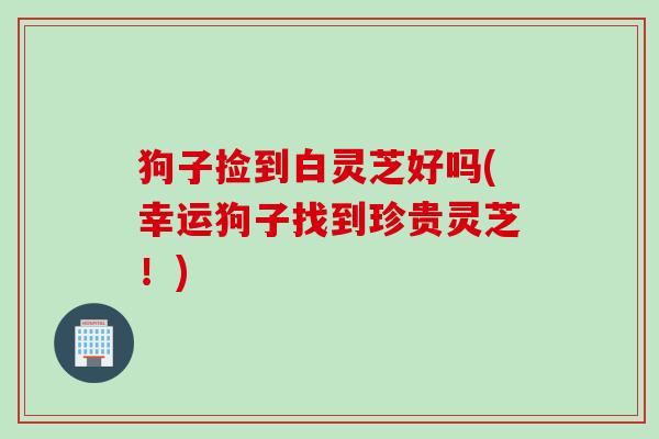 狗子捡到白灵芝好吗(幸运狗子找到珍贵灵芝!) 狗子捡到白灵芝好吗(幸运狗子找到珍贵灵芝!)