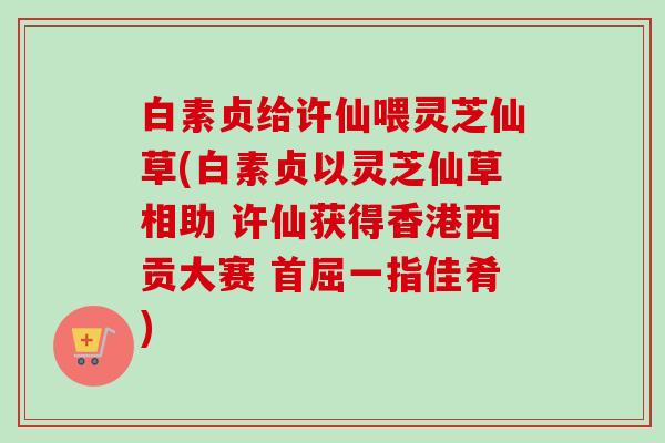 白素贞给许仙喂灵芝仙草(白素贞以灵芝仙草相助 许仙获得香港西贡大赛 首屈一指佳肴)