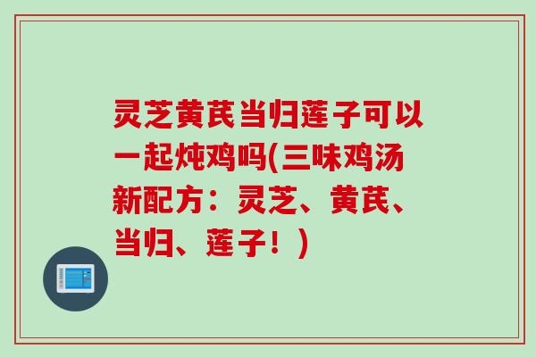 灵芝黄芪当归莲子可以一起炖鸡吗(三味鸡汤新配方：灵芝、黄芪、当归、莲子！)