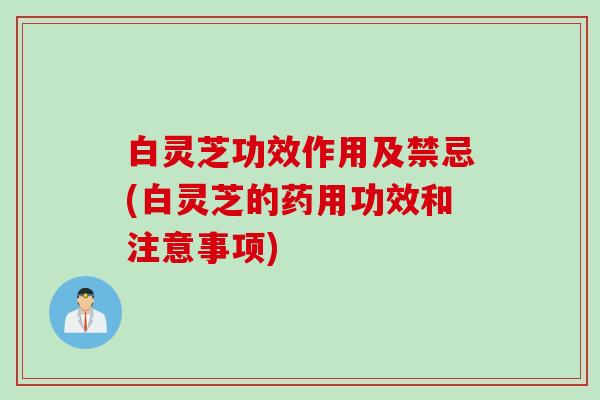 白灵芝功效作用及禁忌(白灵芝的药用功效和注意事项)