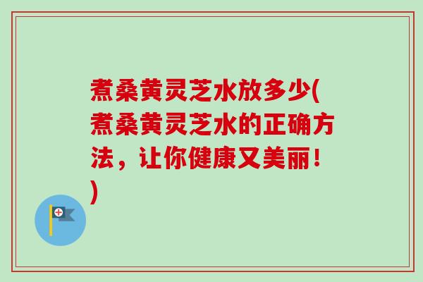煮桑黄灵芝水放多少(煮桑黄灵芝水的正确方法,让你健康又美丽!) 煮桑黄灵芝水放多少(煮桑黄灵芝水的正确方法,让你健康又美丽!)