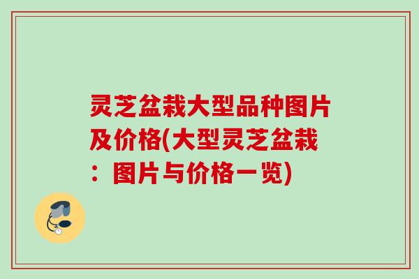 灵芝盆栽大型品种图片及价格(大型灵芝盆栽:图片与价格一览) 灵芝盆栽大型品种图片及价格(大型灵芝盆栽:图片与价格一览)