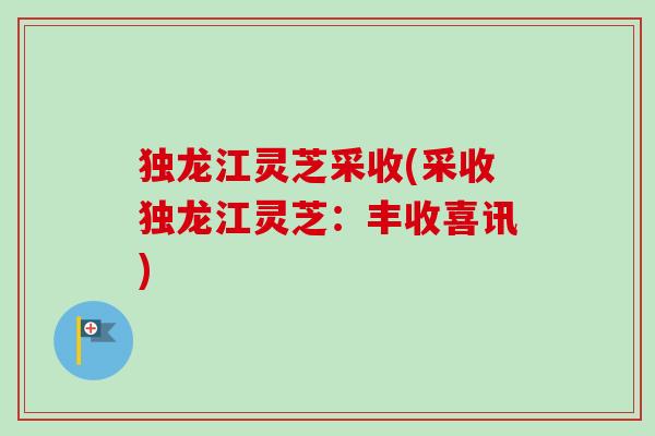 独龙江灵芝采收(采收独龙江灵芝：丰收喜讯)