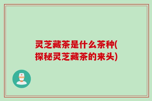 灵芝藏茶是什么茶种(探秘灵芝藏茶的来头)