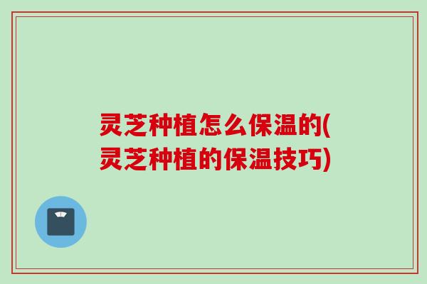 灵芝种植怎么保温的(灵芝种植的保温技巧)