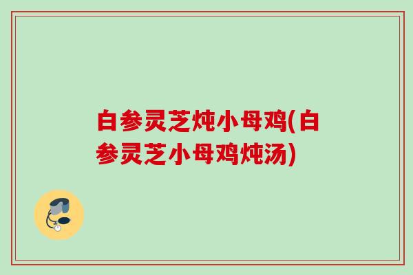 白参灵芝炖小母鸡(白参灵芝小母鸡炖汤)