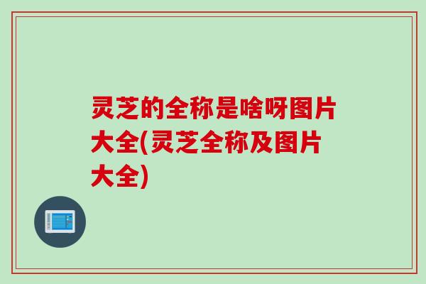 灵芝的全称是啥呀图片大全(灵芝全称及图片大全)