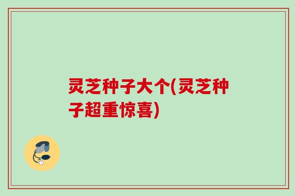 灵芝种子大个(灵芝种子超重惊喜)
