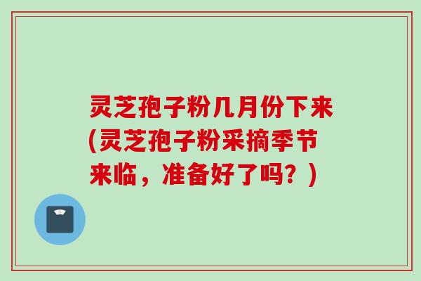 灵芝孢子粉几月份下来(灵芝孢子粉采摘季节来临，准备好了吗？)