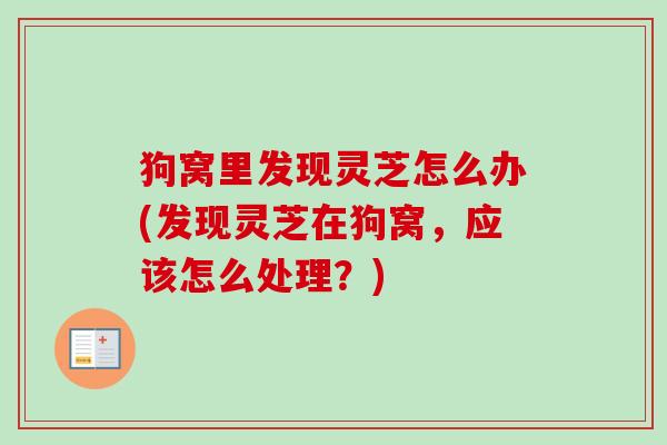 狗窝里发现灵芝怎么办(发现灵芝在狗窝，应该怎么处理？)