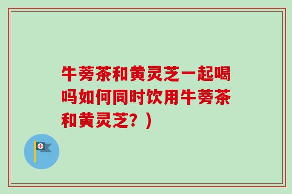 牛蒡茶和黄灵芝一起喝吗如何同时饮用牛蒡茶和黄灵芝？)