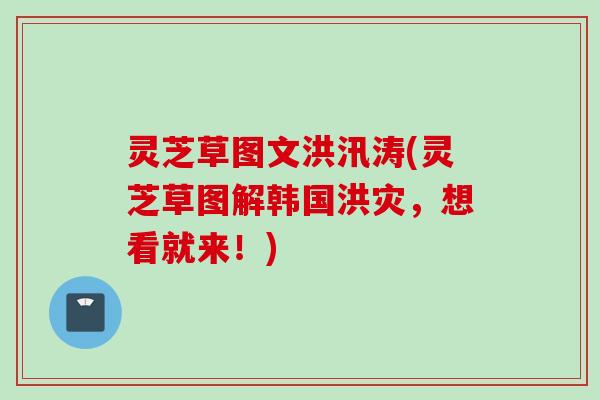 灵芝草图文洪汛涛(灵芝草图解韩国洪灾，想看就来！)