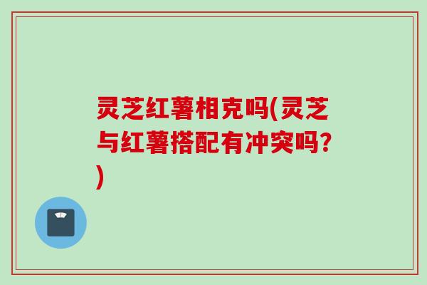 灵芝红薯相克吗(灵芝与红薯搭配有冲突吗？)