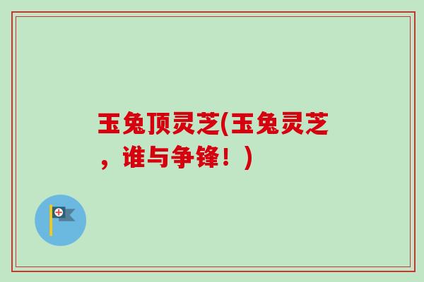 玉兔顶灵芝(玉兔灵芝,谁与争锋!) 玉兔顶灵芝(玉兔灵芝,谁与争锋!)