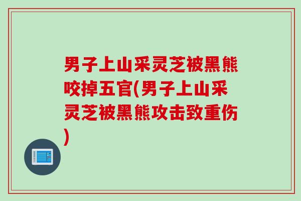 男子上山采灵芝被黑熊咬掉五官(男子上山采灵芝被黑熊攻击致重伤)