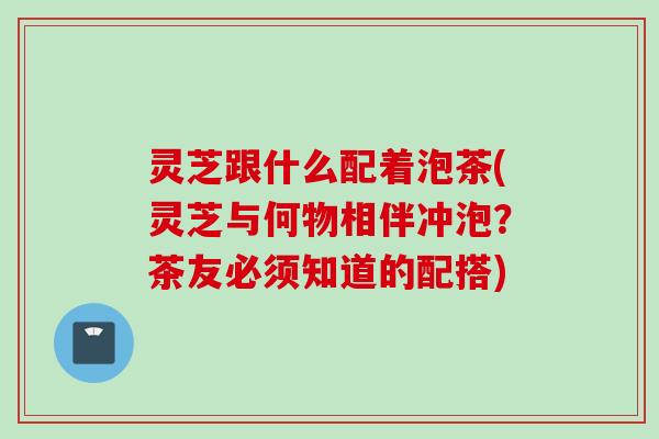 灵芝跟什么配着泡茶(灵芝与何物相伴冲泡？茶友必须知道的配搭)