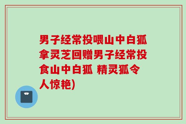 男子经常投喂山中白狐拿灵芝回赠男子经常投食山中白狐 精灵狐令人惊艳)