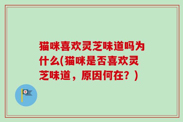 猫咪喜欢灵芝味道吗为什么(猫咪是否喜欢灵芝味道，原因何在？)