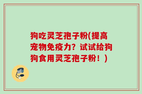 狗吃灵芝孢子粉(提高宠物免疫力?试试给狗狗食用灵芝孢子粉!) 狗吃灵芝孢子粉(提高宠物免疫力?试试给狗狗食用灵芝孢子粉!)