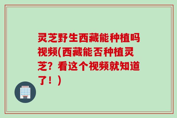 灵芝野生西藏能种植吗视频(西藏能否种植灵芝?看这个视频就知道了!) 灵芝野生西藏能种植吗视频(西藏能否种植灵芝?看这个视频就知道了!)