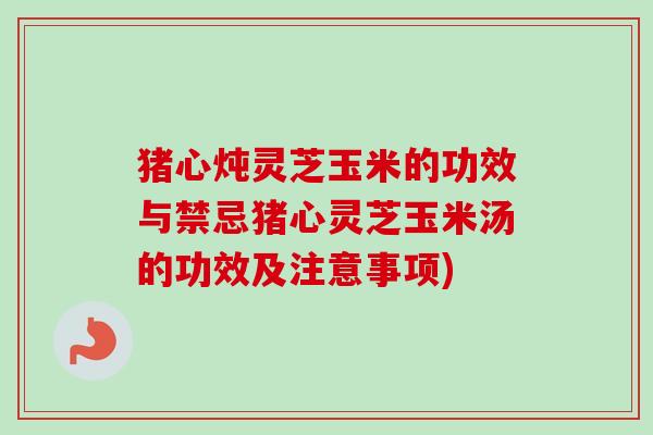 猪心炖灵芝玉米的功效与禁忌猪心灵芝玉米汤的功效及注意事项)
