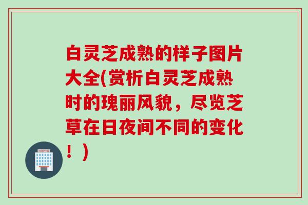 白灵芝成熟的样子图片大全(赏析白灵芝成熟时的瑰丽风貌，尽览芝草在日夜间不同的变化！)