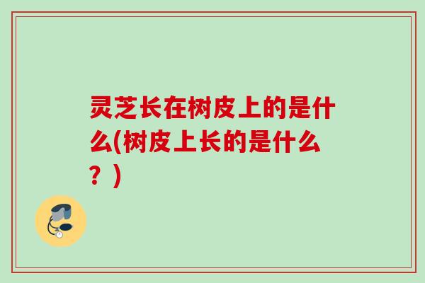 灵芝长在树皮上的是什么(树皮上长的是什么？)