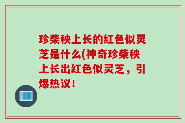 珍柴秧上长的红色似灵芝是什么(神奇珍柴秧上长出红色似灵芝，引爆热议！
