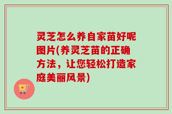 灵芝怎么养自家苗好呢图片(养灵芝苗的正确方法，让您轻松打造家庭美丽风景)