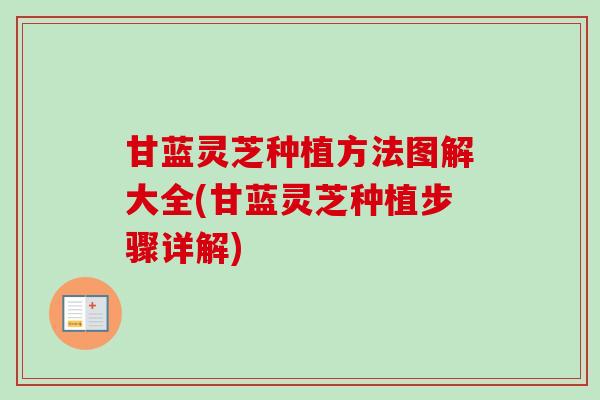 甘蓝灵芝种植方法图解大全(甘蓝灵芝种植步骤详解) 甘蓝灵芝种植方法图解大全(甘蓝灵芝种植步骤详解)