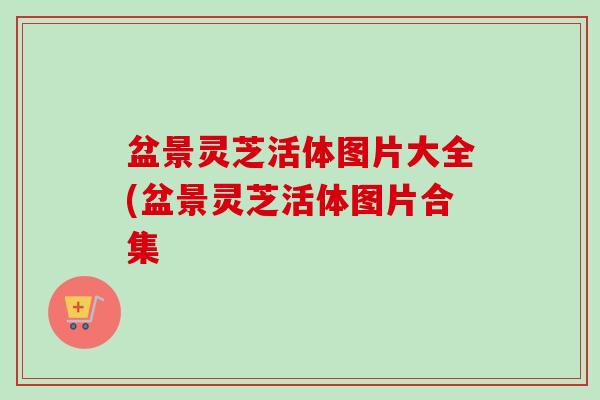 盆景灵芝活体图片大全(盆景灵芝活体图片合集