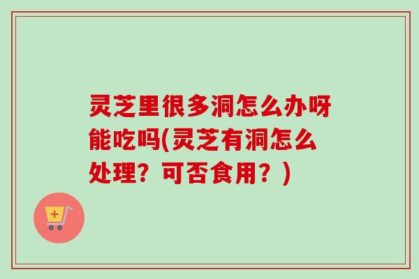 灵芝里很多洞怎么办呀能吃吗(灵芝有洞怎么处理？可否食用？)