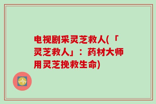 电视剧采灵芝救人(「灵芝救人」：药材大师用灵芝挽救生命)