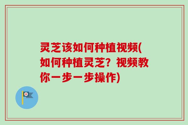 灵芝该如何种植视频(如何种植灵芝？视频教你一步一步操作)