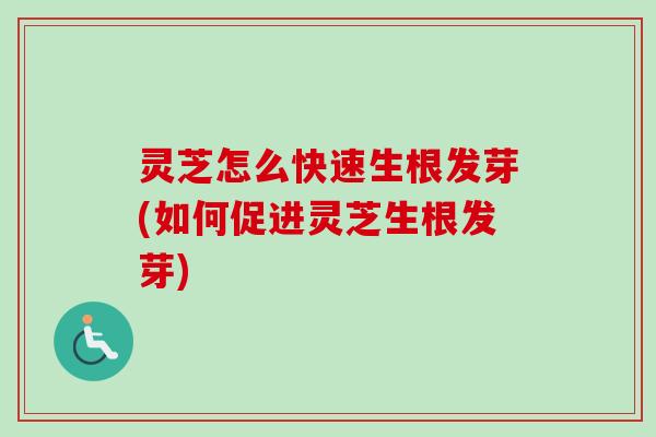 灵芝怎么快速生根发芽(如何促进灵芝生根发芽)