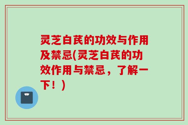 灵芝白芪的功效与作用及禁忌(灵芝白芪的功效作用与禁忌，了解一下！)