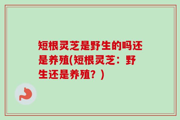 短根灵芝是野生的吗还是养殖(短根灵芝：野生还是养殖？)