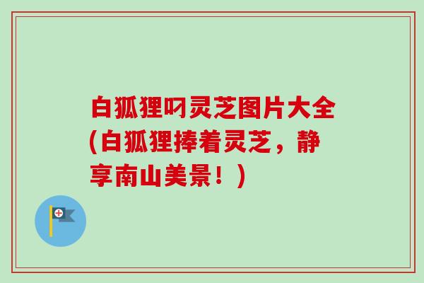 白狐狸叼灵芝图片大全(白狐狸捧着灵芝，静享南山美景！)