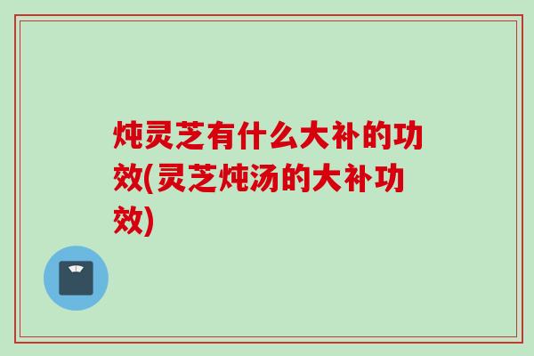 炖灵芝有什么大补的功效(灵芝炖汤的大补功效)