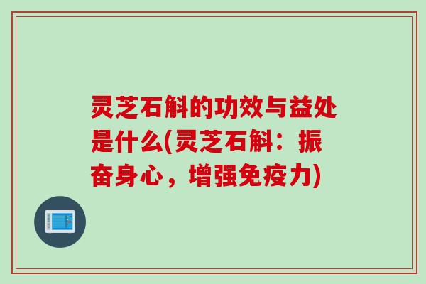 灵芝石斛的功效与益处是什么(灵芝石斛：振奋身心，增强免疫力)
